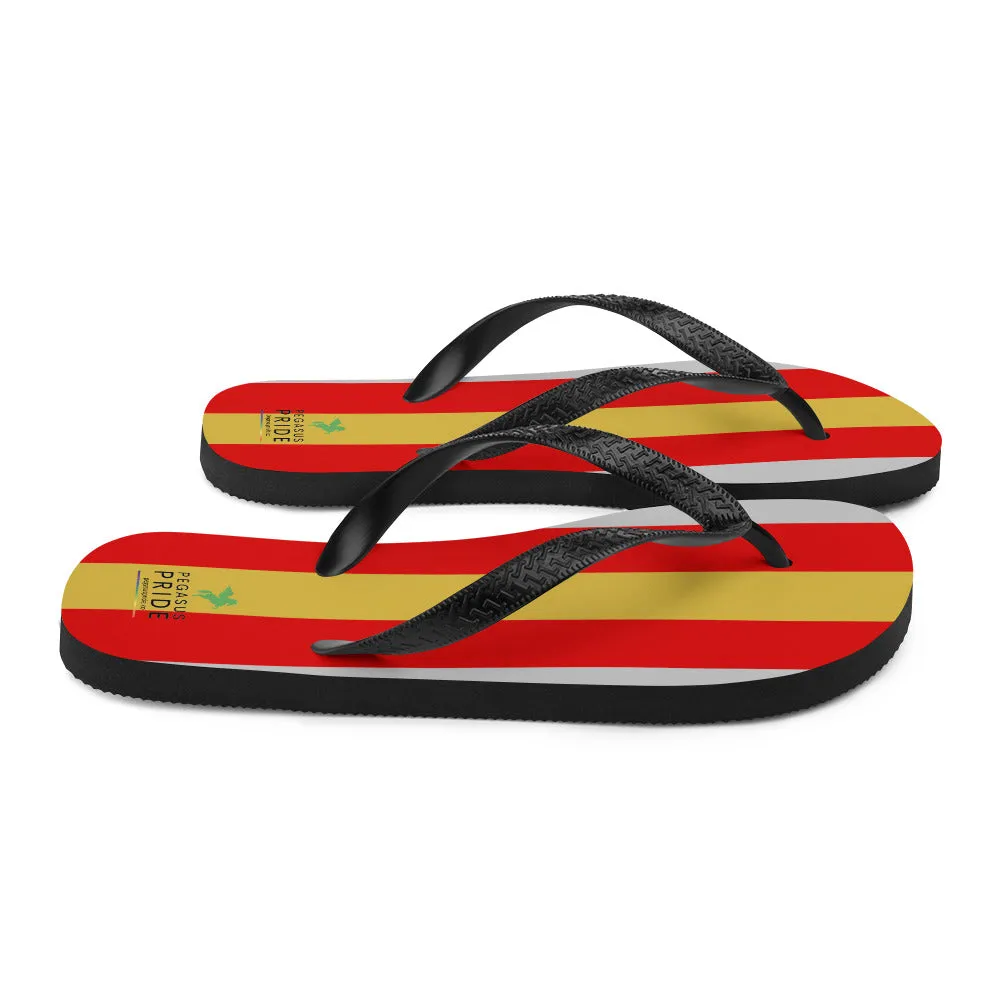 Proculsexual Pride Flag Flip-Flops