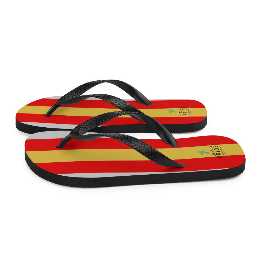 Proculsexual Pride Flag Flip-Flops